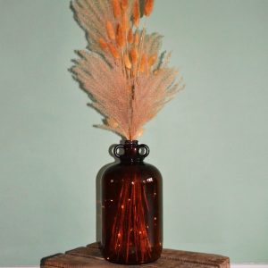 Dame jeanne Eugénie